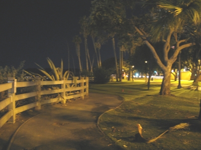 The cute winding path next to Ocean Avenue The cute winding path next to Ocean Avenue