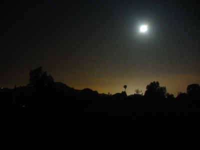 Night Sky