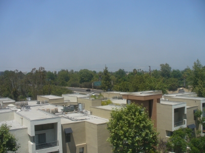 View from roof