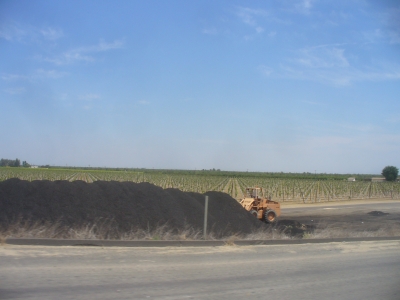 Rows and Asphalt and Tractors oh my!