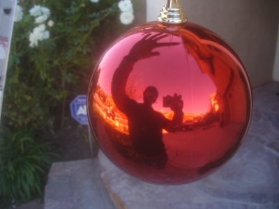 Self portrait in ornament