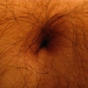 Belly button