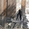 Half burned fence