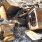 Stove