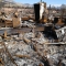 Devastation