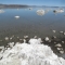 Mono Lake