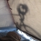 Sunrise shadow on my tent wall