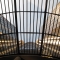 View up from the lobby