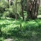 The burial spot