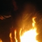 Walrus dances on the fire.
