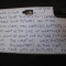 The text