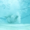 Cannonball!!!!!