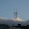 Ah, sweet sweet Sutro.