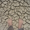 No shoes