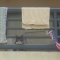 Creepy cat