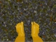 Artpad feet