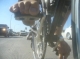 Freeway Excursion