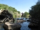 King of the river!
