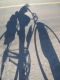 Biking