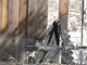 Half burned fence