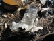 Melted glass