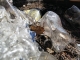 Even more melted glass