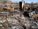 Devastation