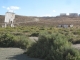 Yerington