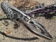 Another bike