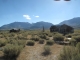 Abandoned houses