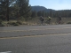 The first Century riders of the day