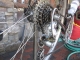 Clean chain!