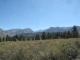 Mammoth view