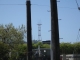 Sutro