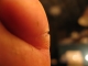 Baby toe cut