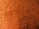 Side of my head