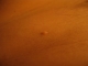 Another mole
