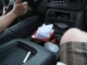 A few rode shotgun