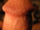 Taste buds?