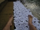 A lot of boats