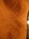 Armpit