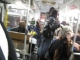 More bus