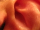 Inside the ear