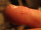 Splinter
