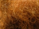 Beard