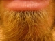 Closer