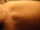 Where leg meets pelvis