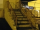 Photo Competition Photo: "Wild Card #4"