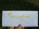 Yellowbear