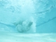 Cannonball!!!!!